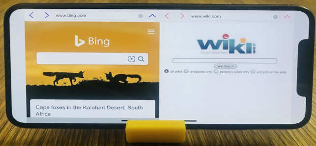 BrowserX2: 2 Browsers at Once Screenshot