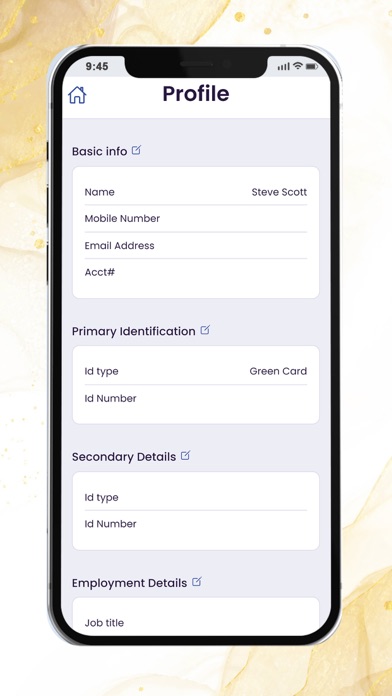 Soni Transfer USA Screenshot