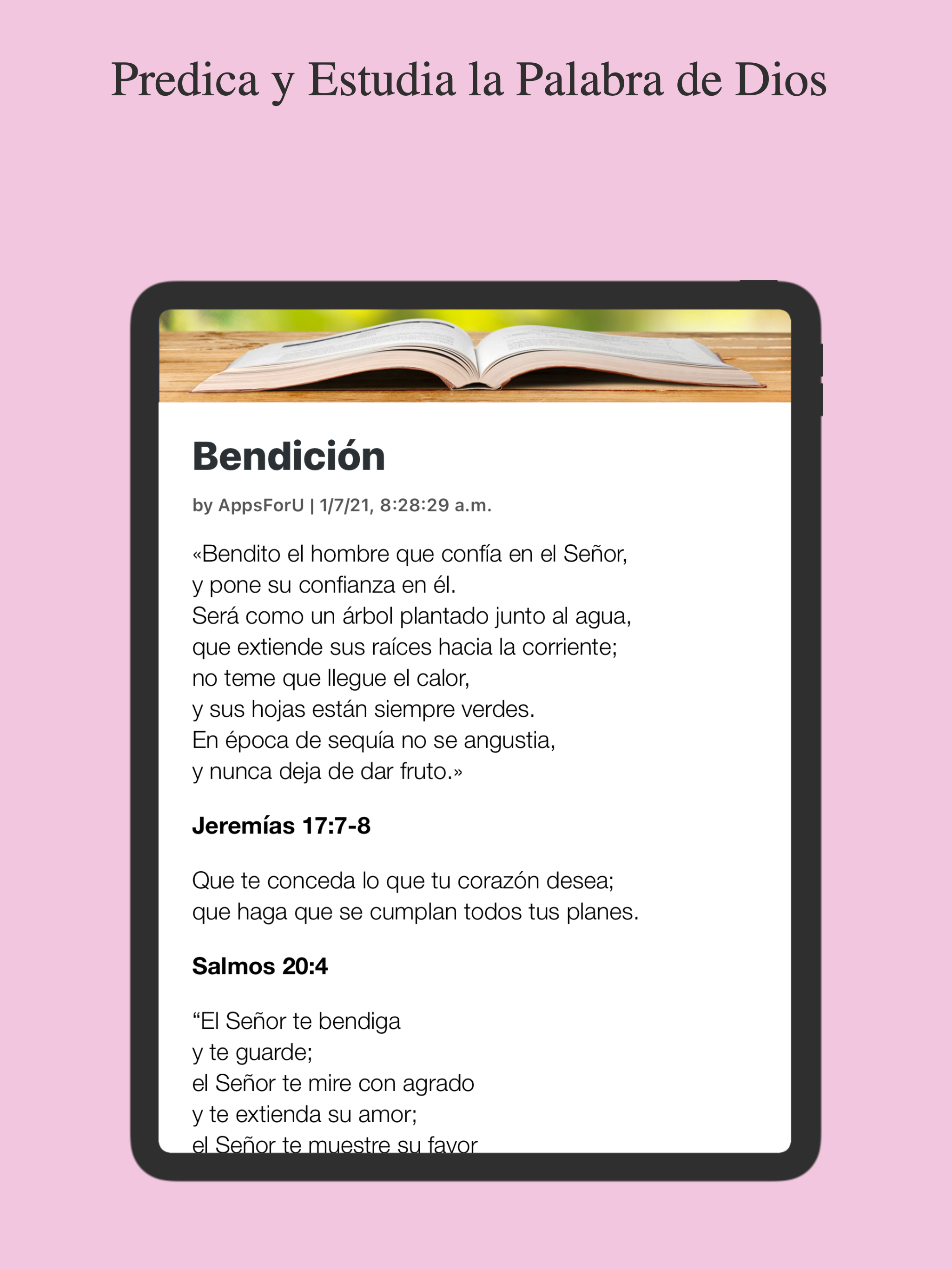 Temas Bíblicos y Predicas screenshot 12