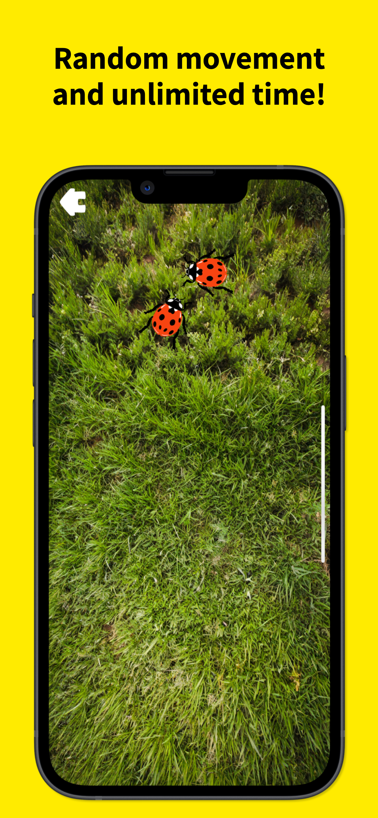 Cat Game - Games for Cats screenshot 3