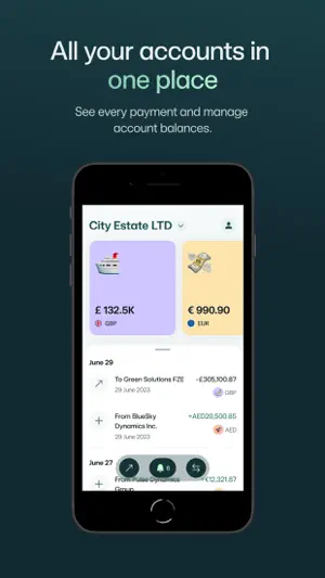 3S Money screenshot 1