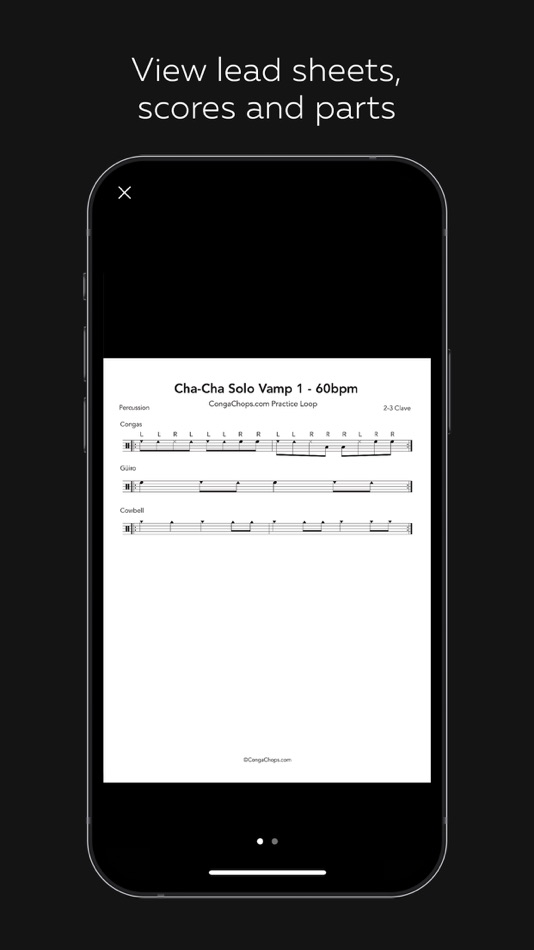 #4. Conga Chops - Vol 1 (iOS) 由: Myxstem