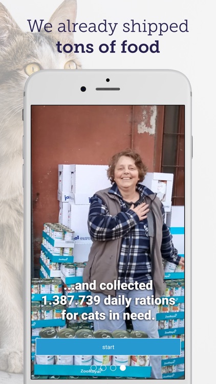 feed a cat: animal welfare screenshot-3
