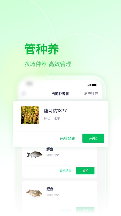 智慧稻草人Lite