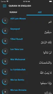 the quran in english iphone screenshot 3