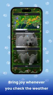 weather kitty - cute cat radar iphone screenshot 4