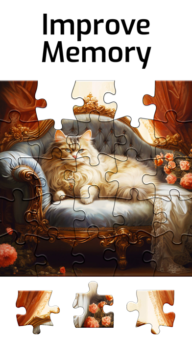 Puzzles for Seniors Screenshot