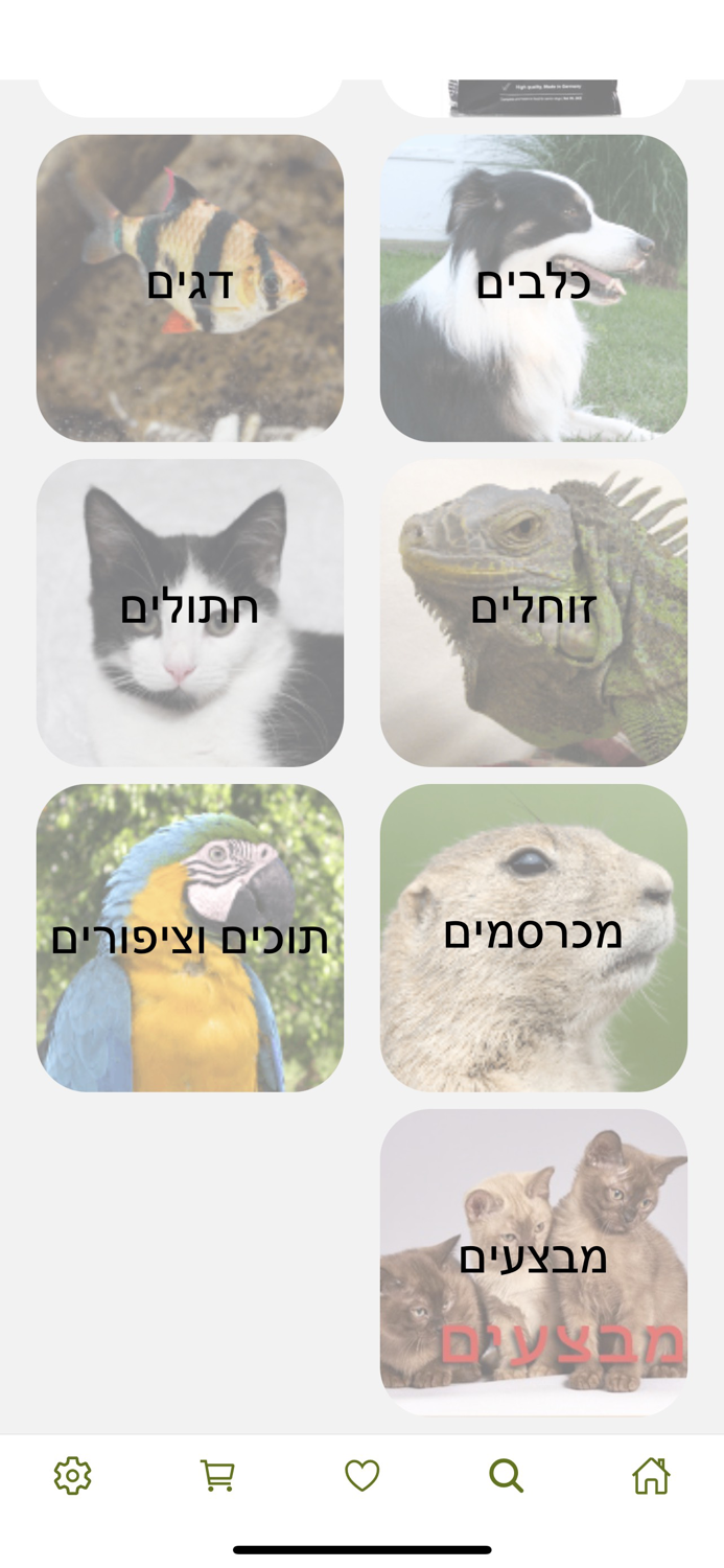 קן התוכי