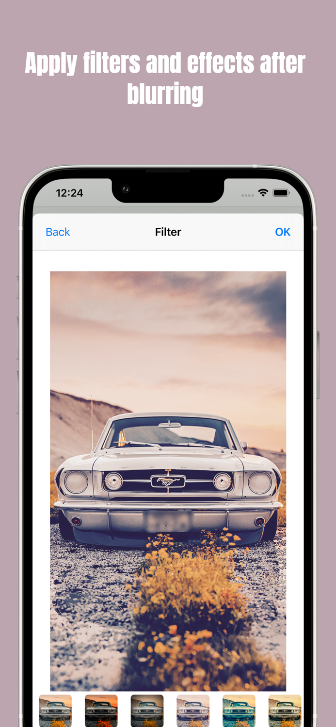 Blur Photo Effect Editor