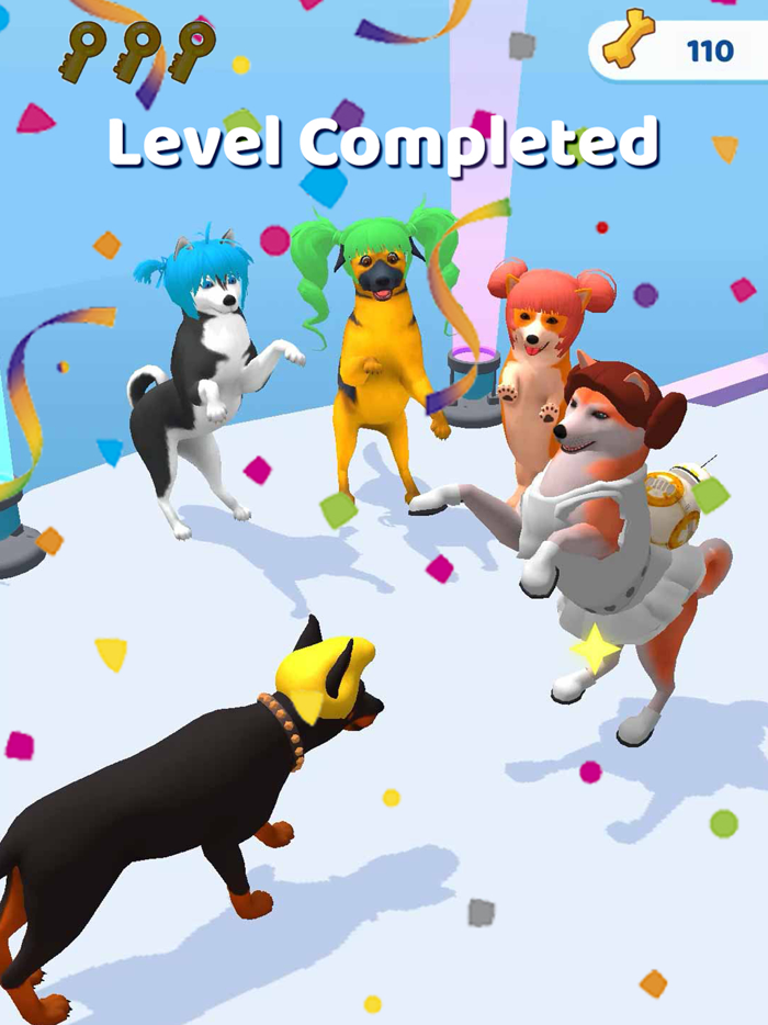 Groomer run 3D