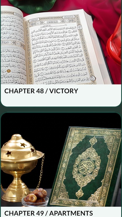 Quran in English Offline Pro screenshot-4