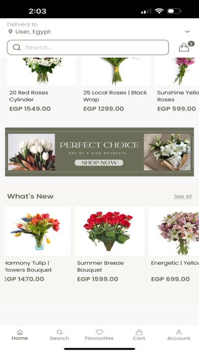 Flower Empire Screenshot