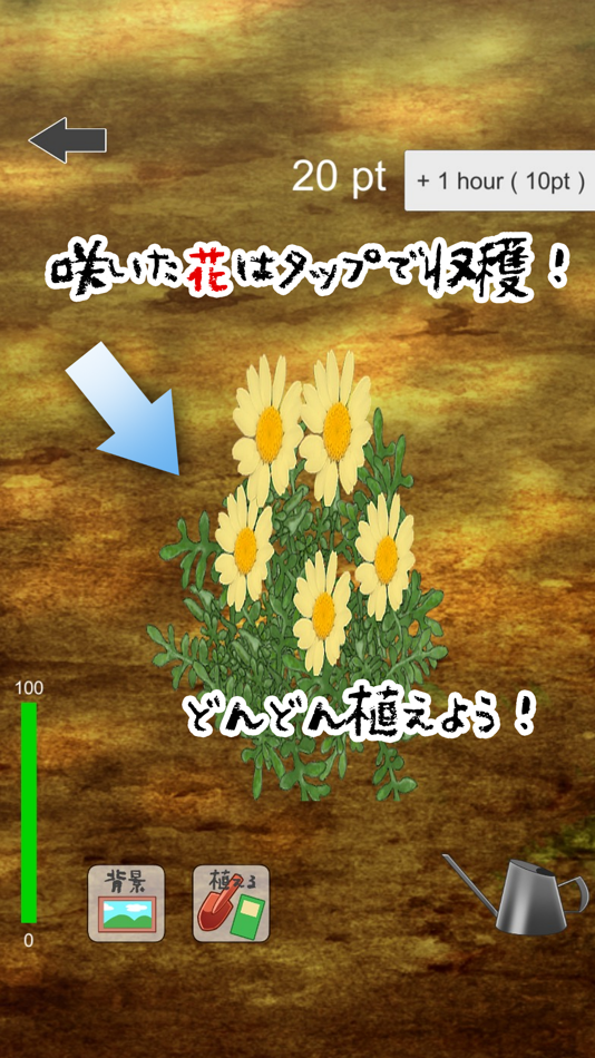 #3. フラワーコレクション (iOS) 게시자: SENKEN, INC.,