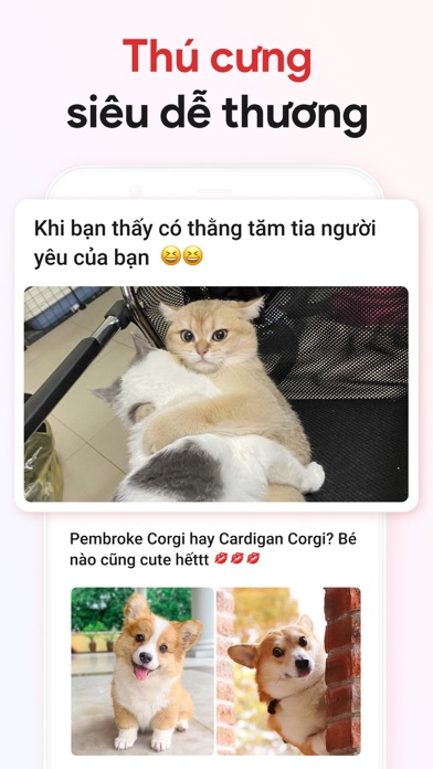 HOBI: Hóng biến, Ảnh đẹp Screenshot