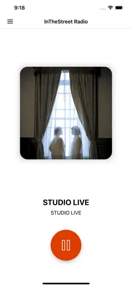 Game screenshot InTheStreet Radio apk
