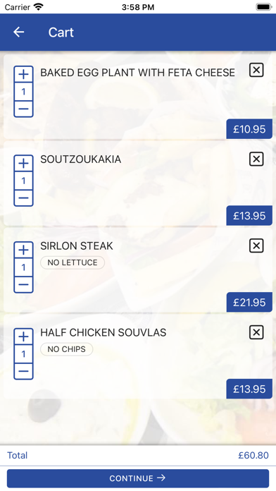 Tasty Greek Souvlaki Screenshot