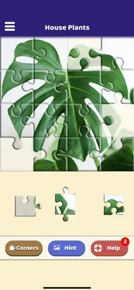 Game screenshot House Plants Puzzle apk