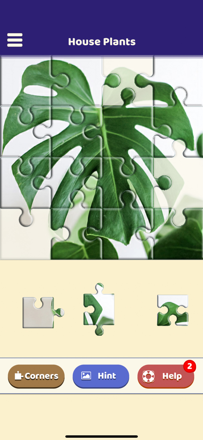 House Plants Puzzle