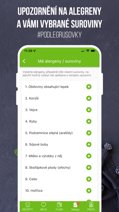 Paleosnadno Screenshot
