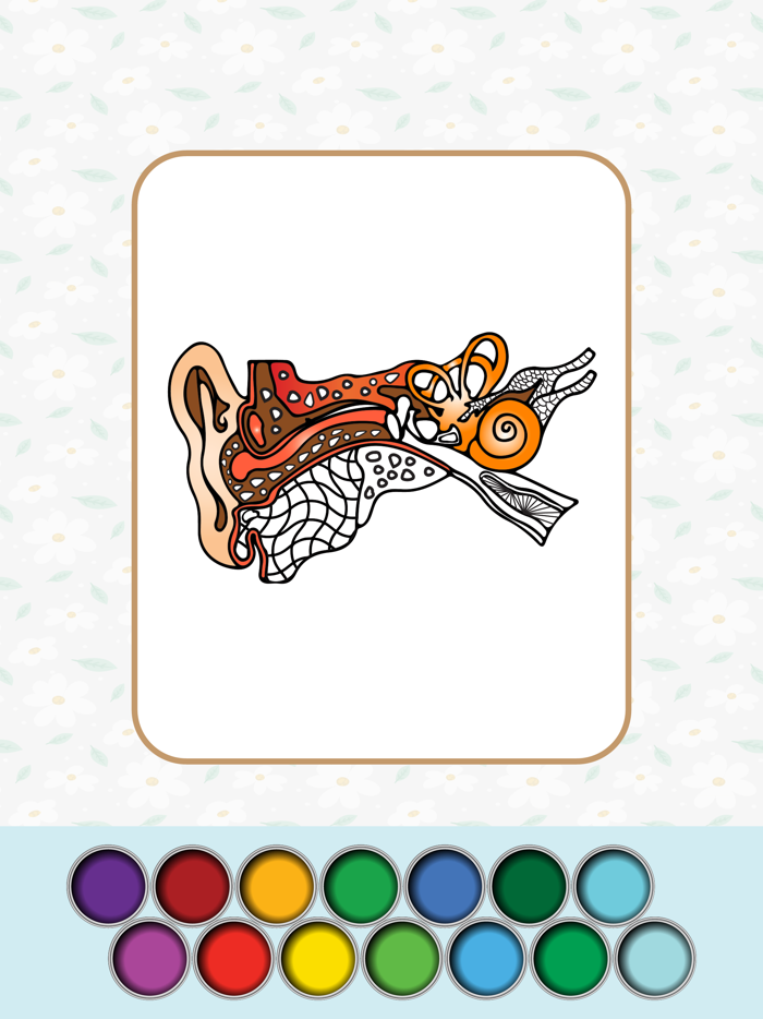 Anatomy Coloring Book.