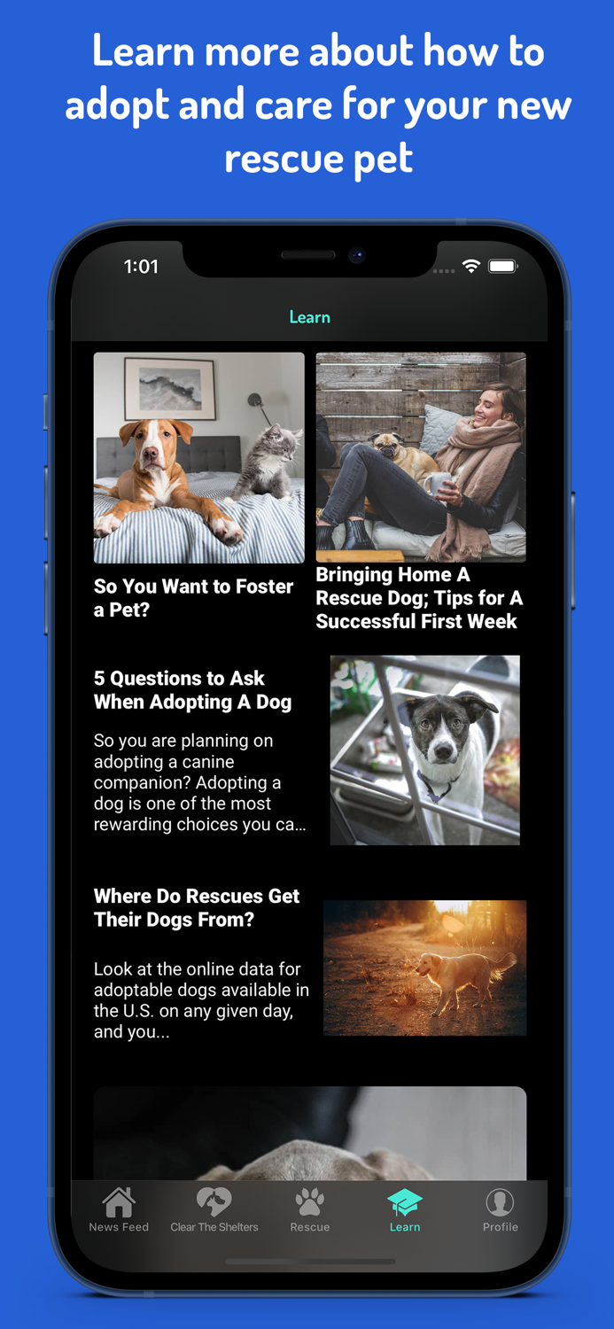 WeRescue – Adopt a Pet