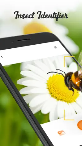 Game screenshot Insect ID Bug Identifier mod apk