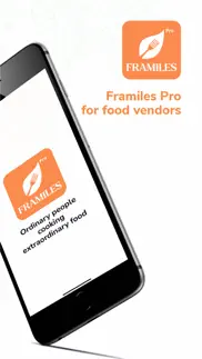 framiles pro problems & solutions and troubleshooting guide - 3