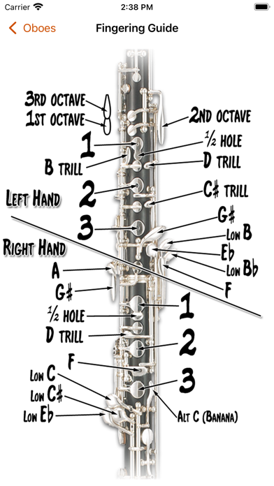 Screenshot #2 for Fingering