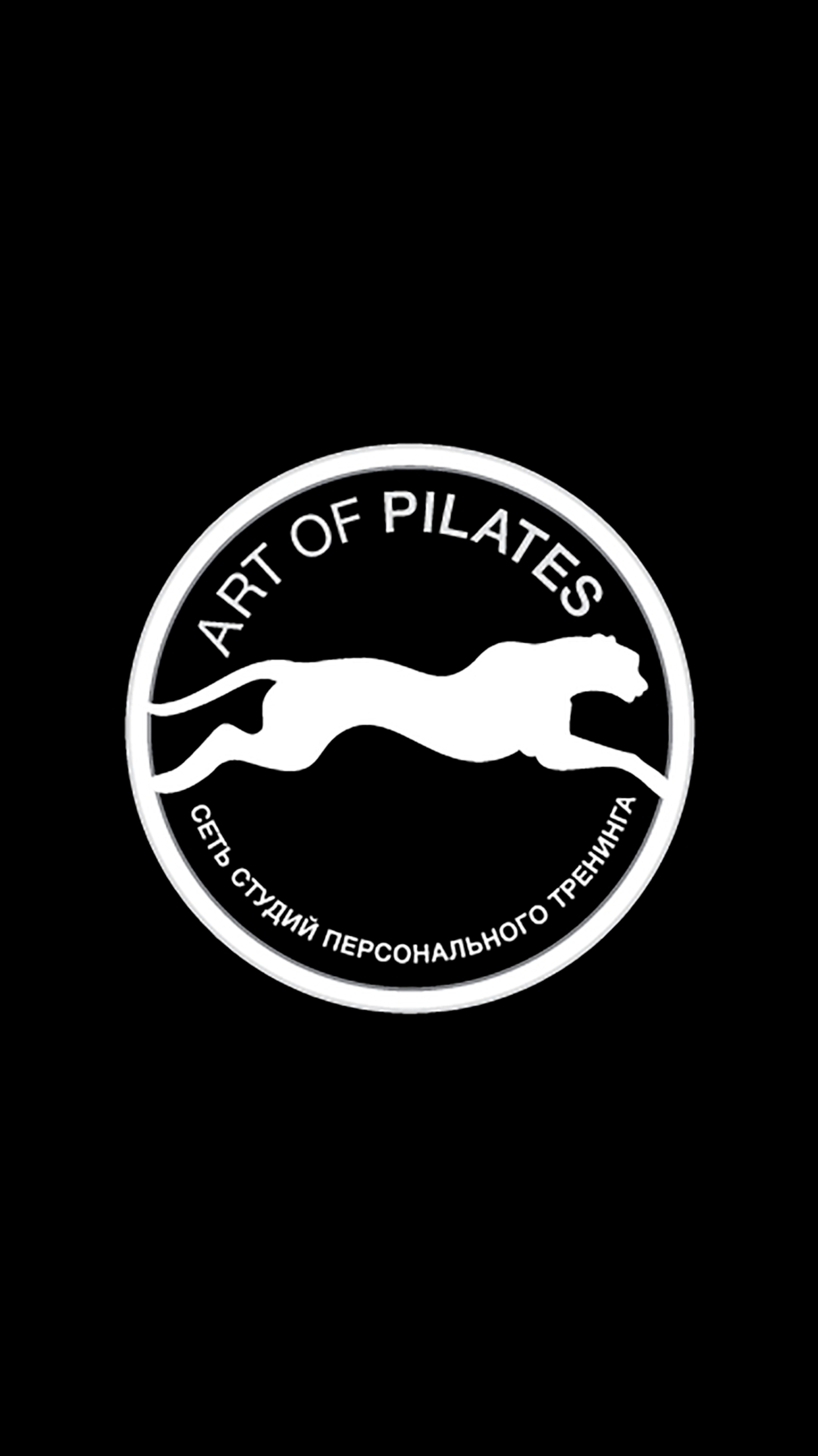 ART OF PILATES студия пилатеса