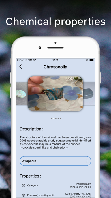 Rock Identifier Crystal Finder Screenshot