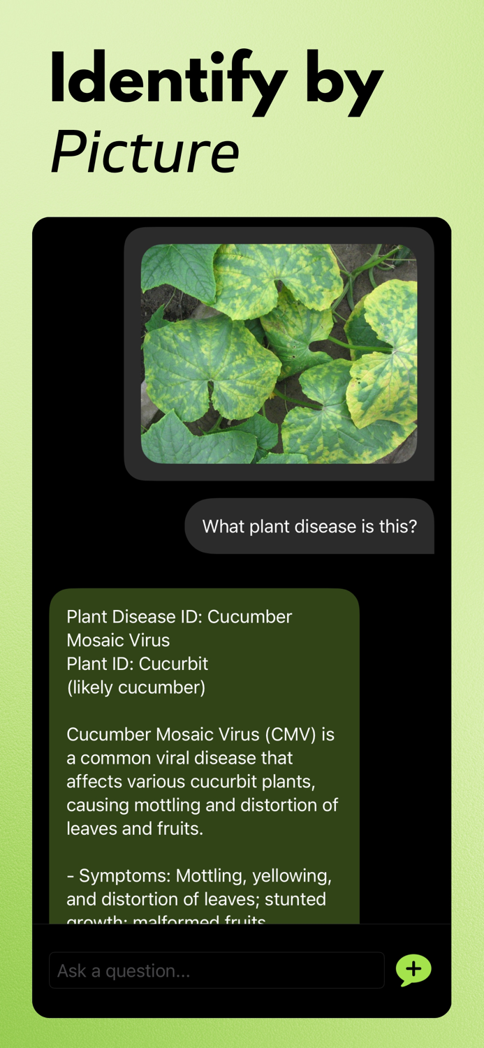 Plant Disease Identifier AI