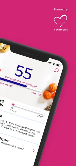 Game screenshot Nutritionist Buddy Keto apk