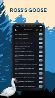 ross's goose magnet-goose call iphone screenshot 1
