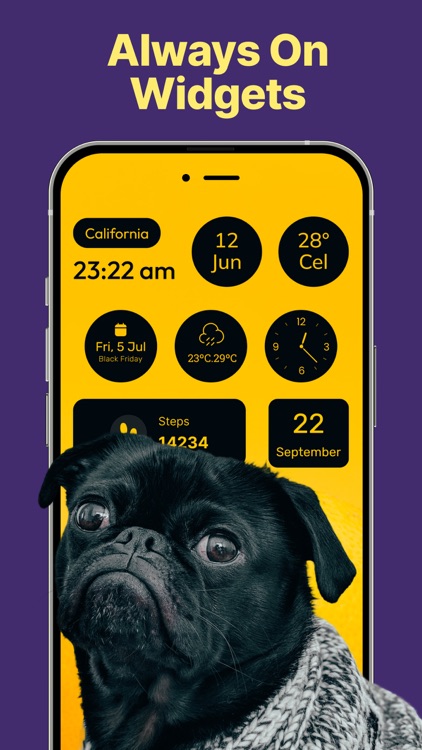 Lock Screen Widgets‎‎‏‏‎