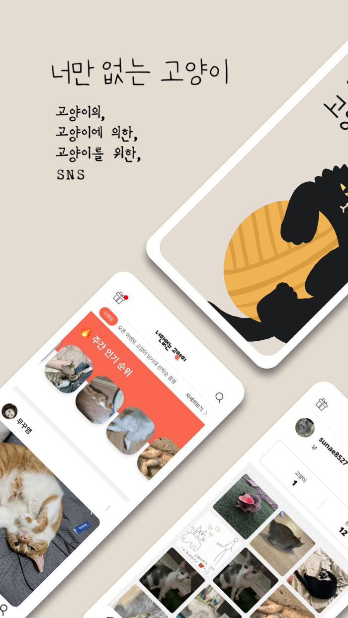 너만없는 고양이