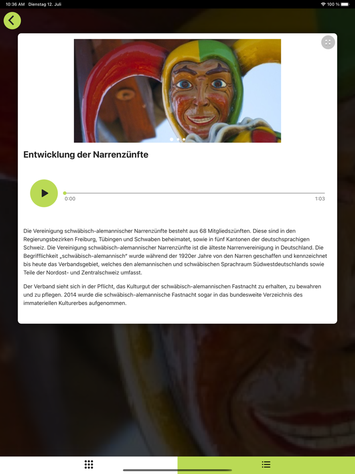 Narrenschopf - Besucher-Guide