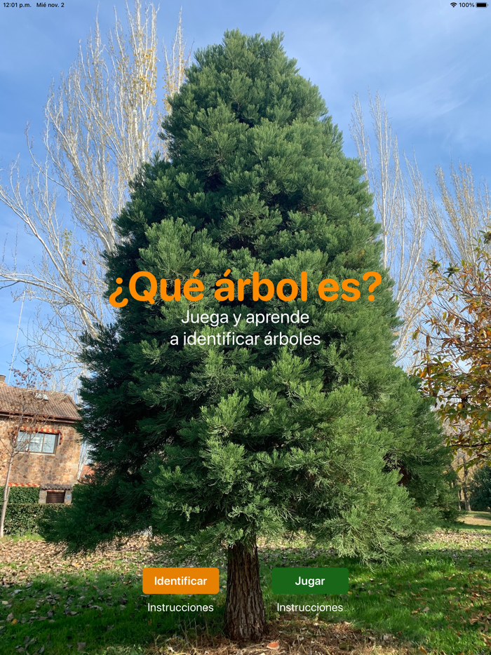 Que Arbol Es