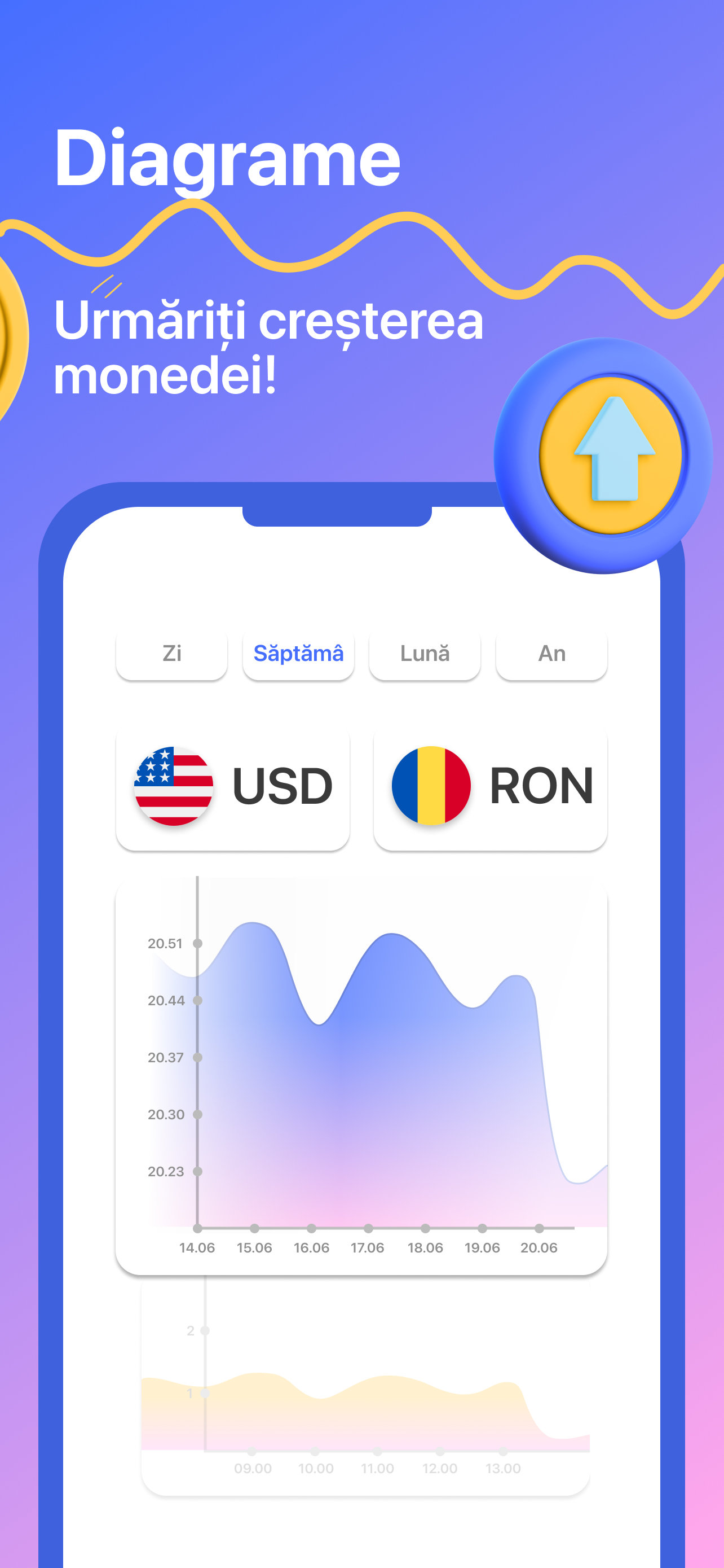 Convertor valutar, widget