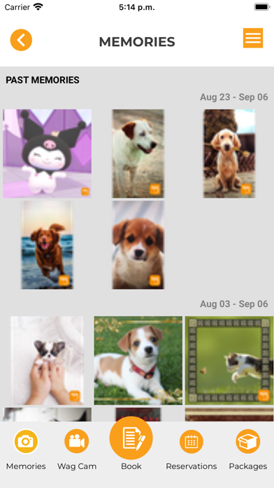 MyWag Hotels Screenshot