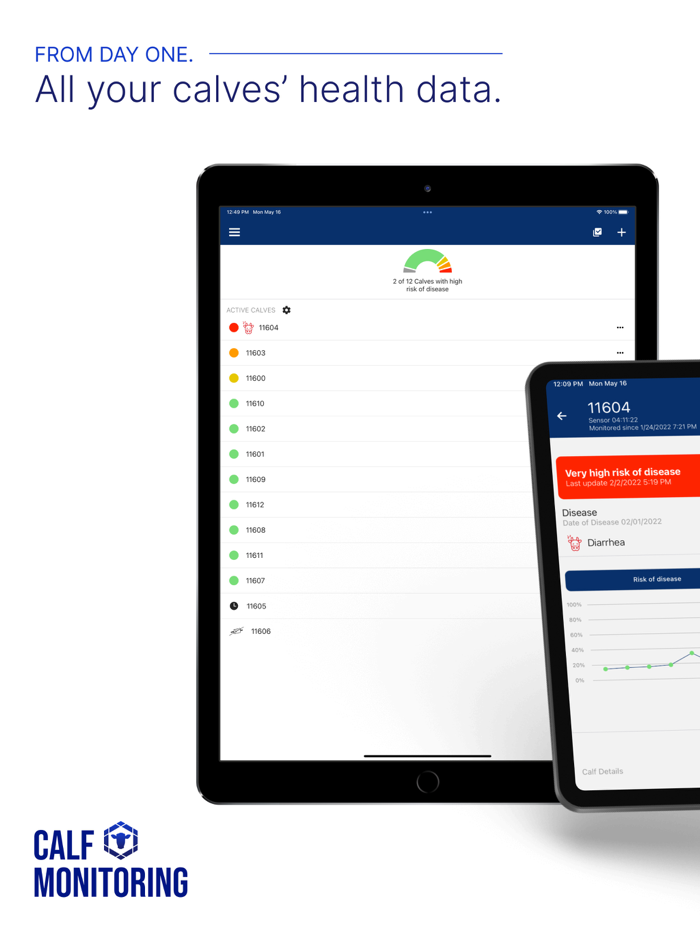 Calf Monitoring System