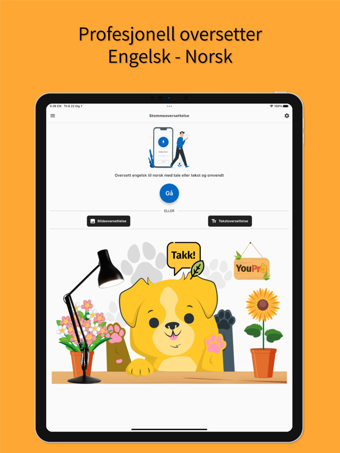 English Norwegian Translator