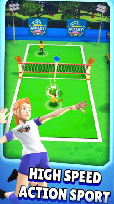Volley Legends Screenshot
