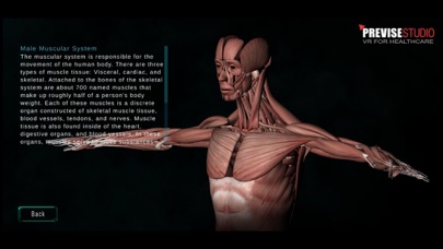 3D Human Anatomy Kids Screenshot