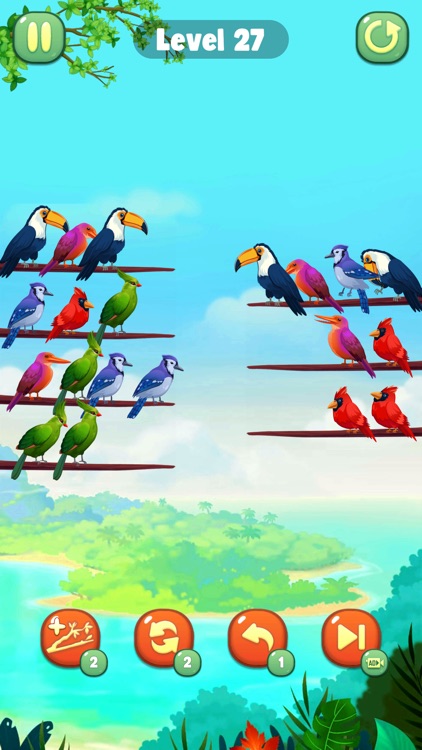 Color Bird Sort Puzzle Game screenshot-3
