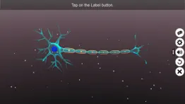 learn neuron iphone screenshot 2