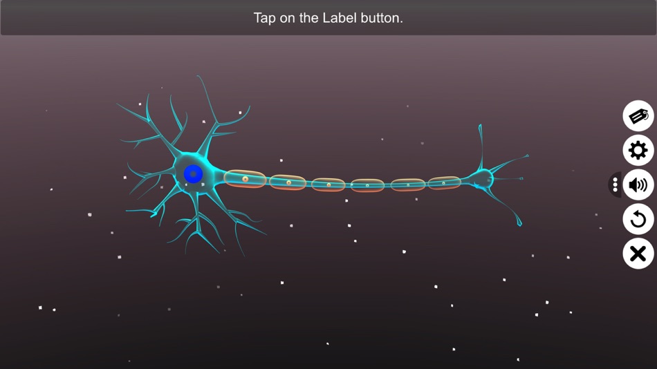 #2. Learn Neuron (iOS) By: VIRTUAL FILAMENTS PRIVATE LIMITED