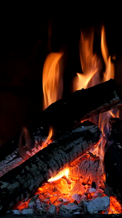 Cozy Fire: Bonfire Wallpapers Screenshot