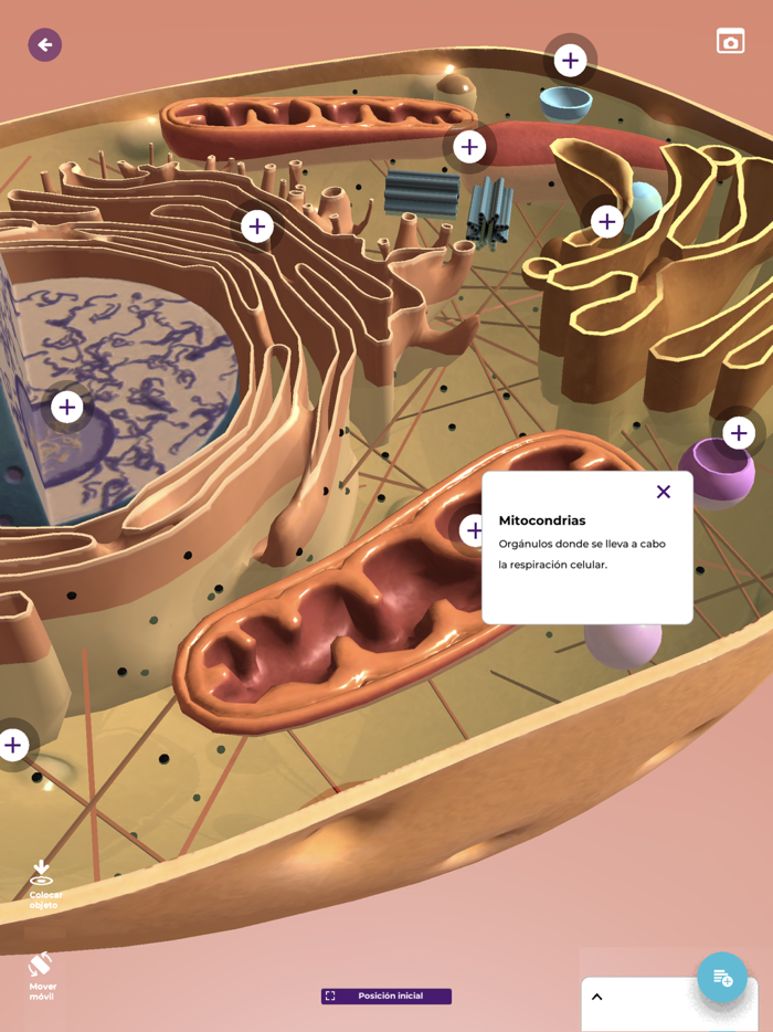 Realidad Extendida Santillana