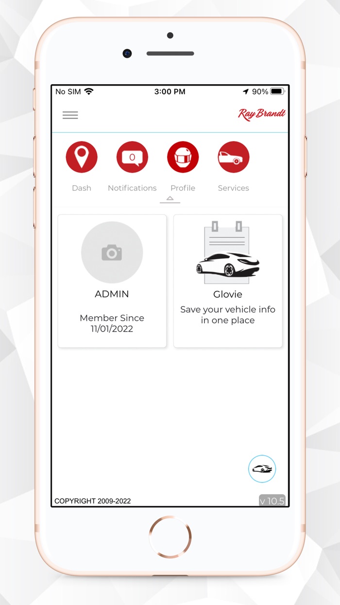 RAY BRANDT AUTO CARE