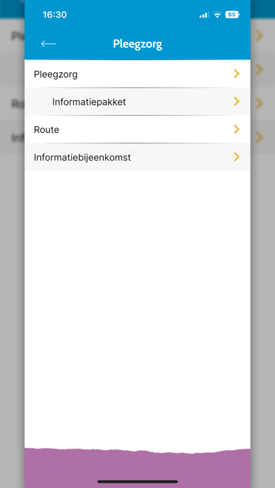 Jeugdhulp Friesland Pleegzorg Screenshot